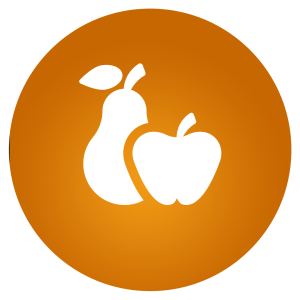 favicon3